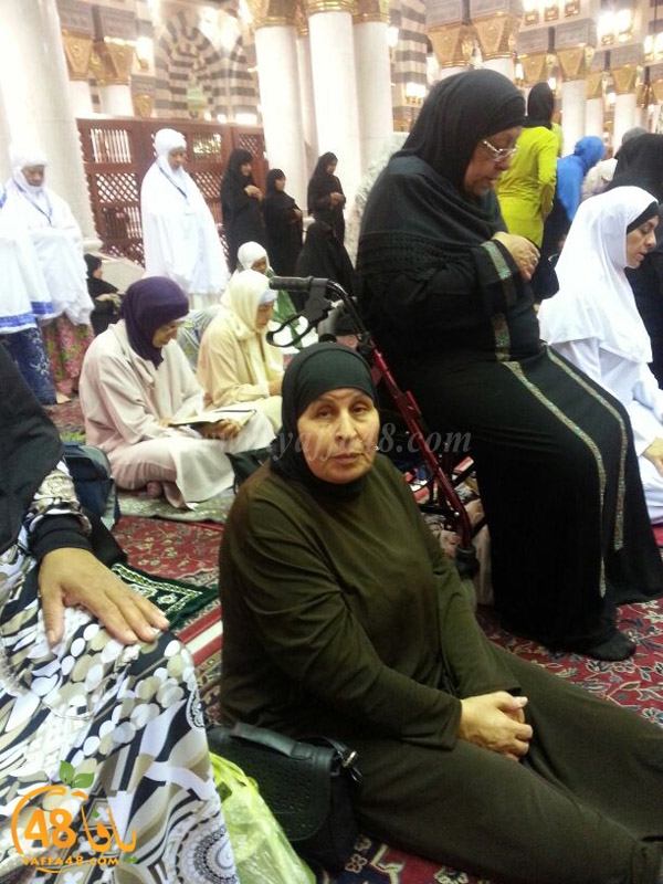 mo3tmreen yfasafa3 (27).JPG